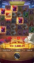 RAJA710 · Rooster Rbl